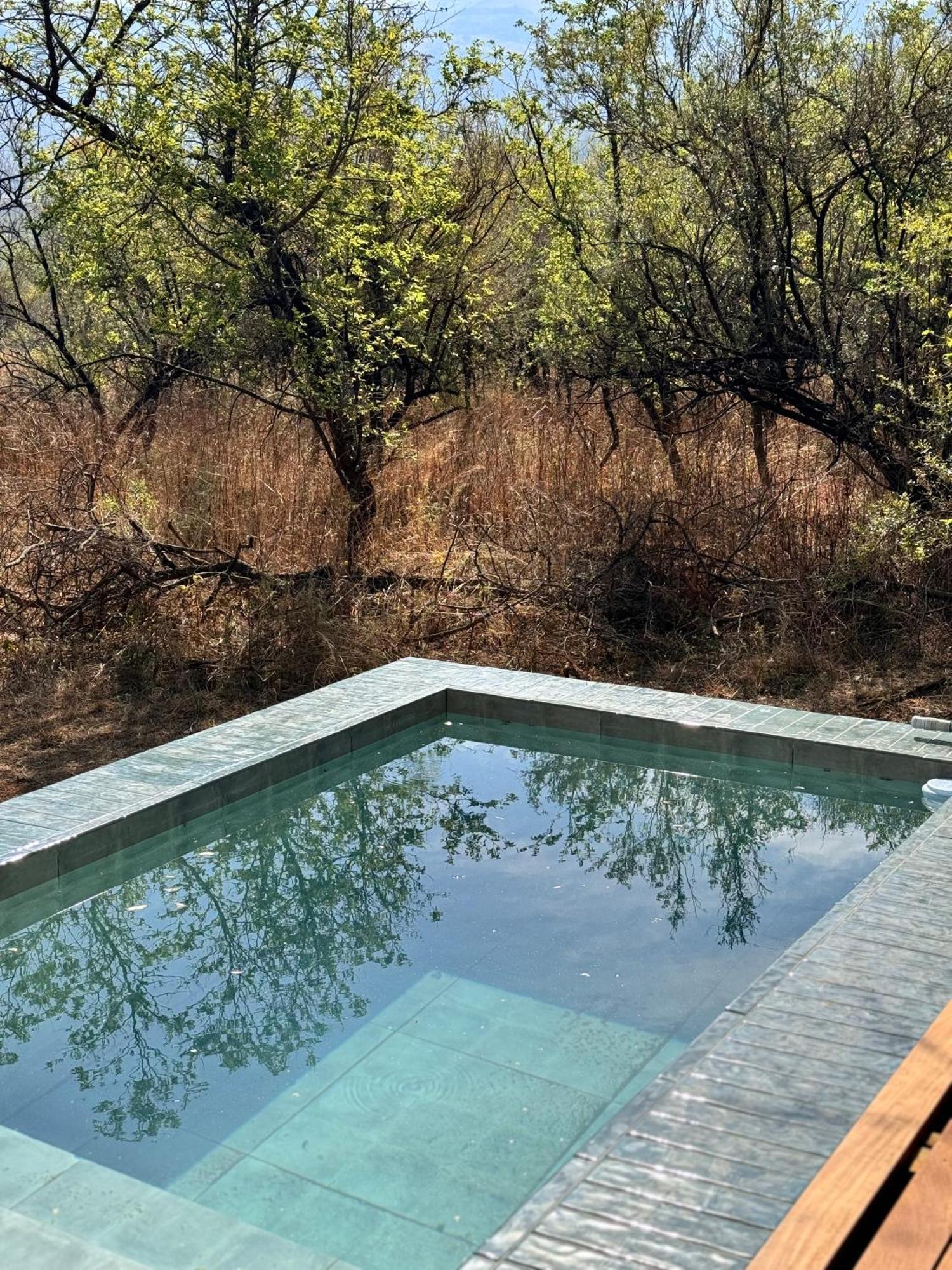 Luxury tent Sasi Africa Luxury Tented Bush *